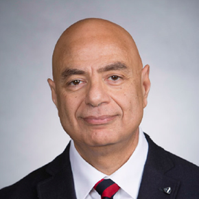 Hussein M. El-Newihi, MD
